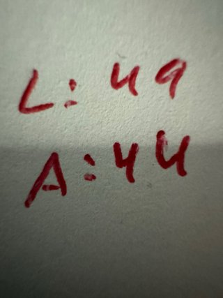 Polo Ralph Lauren Niño Talla M Rojo