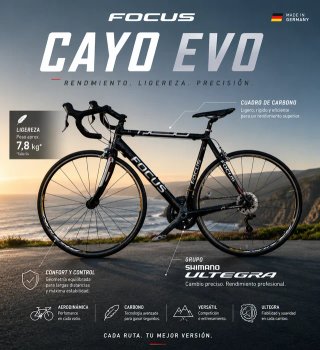 Bicicleta carbono Focus Ultegra
