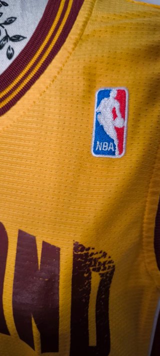 Camiseta Baloncesto Adidas Cleveland 23
