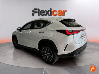 Lexus NX 350h Business City 4WD
