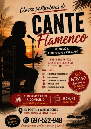 Clases particulares Cante flamenco
