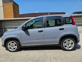 FIAT PANDA CITY 1.0 MHEV 70CV 5P