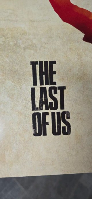 The Last of Us Poster A3