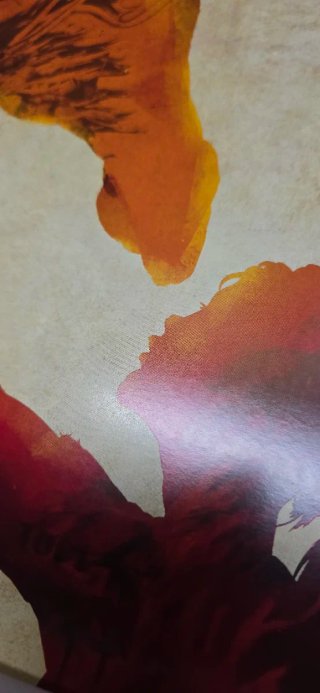 The Last of Us Poster A3