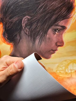 The Last of Us Naughty Dog Poster PVC 70x50cm