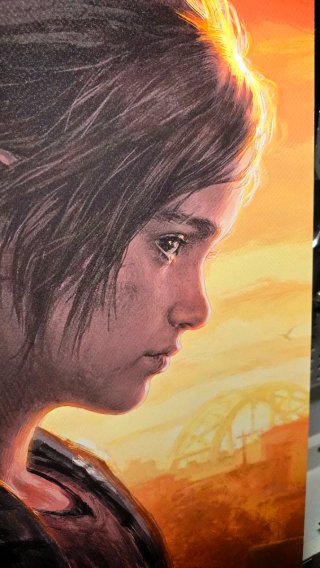 The Last of Us Naughty Dog Poster PVC 70x50cm