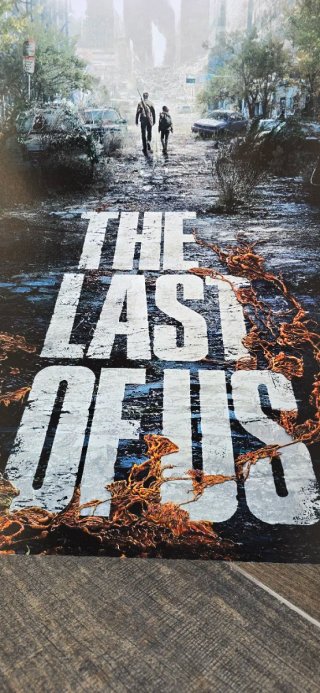 Poster The Last of Us