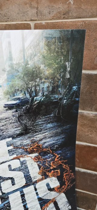 Poster The Last of Us