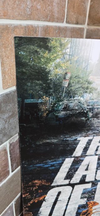 Poster The Last of Us