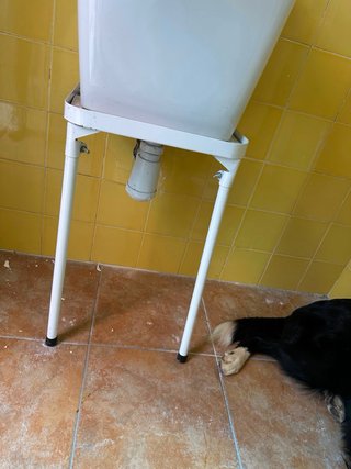 Pila lavadero porcelana con patas