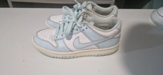 Zapatillas Nike Dunk Low Azul y Blanco