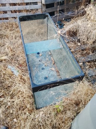 Pecera grande de cristal