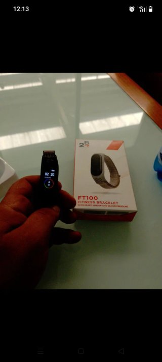 257 FT100 Fitness Bracelet