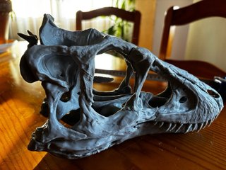 Craneo Tiranosaurio Rex Réplica