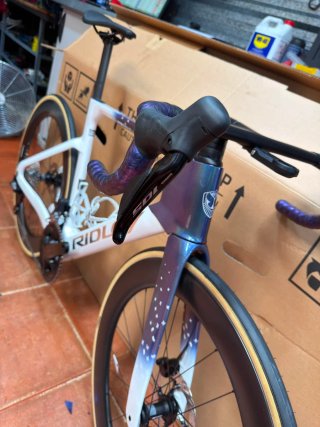 Bicicleta Ridley Edición Especial 2026