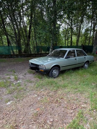 Peugeot 505 1980