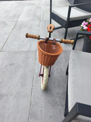 Bicicleta de aprendizaje 15-60 meses