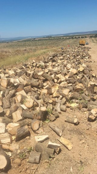 Venta de leña de roble, olivo y almedro
