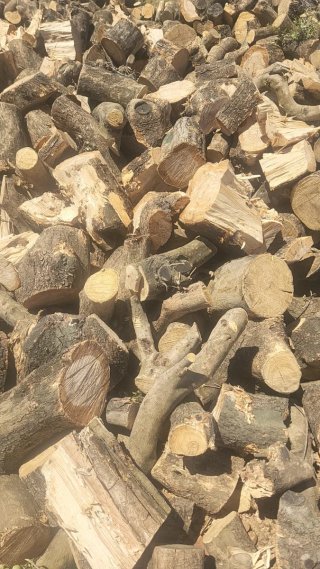 Venta de leña de roble, olivo y almedro