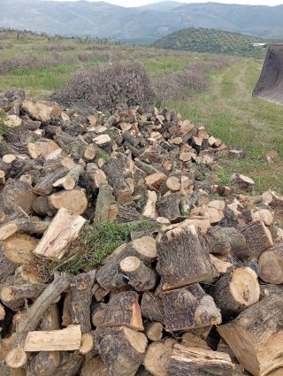 Venta de leña de roble, olivo y almedro
