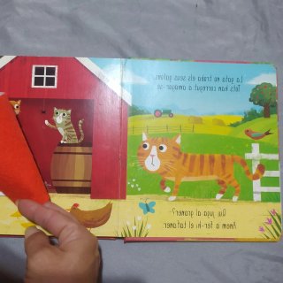 Juga a fet a amagar a la granja