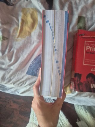 Diccionario primaria lengua española Voz