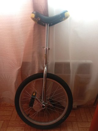 Monociclo profesional