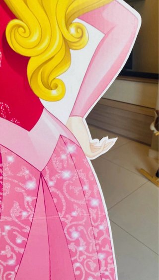 Sagoma Principessa Aurora Disney per Feste