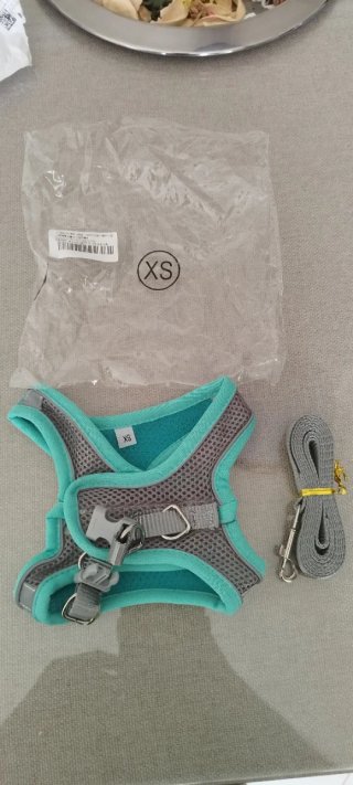 Arnés para perros y correa. ¡¡SIN USAR!! Talla XS