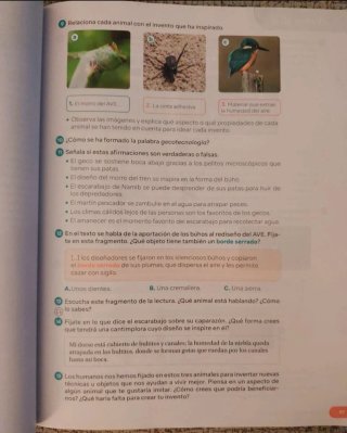 Lengua Castellana y Literatura . 6 Primaria. Re...