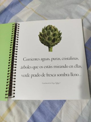 Imaginario de las estaciones. (Sólo envíos).