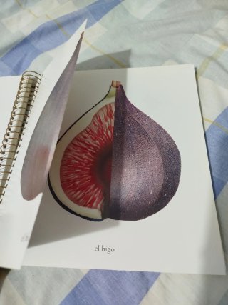 Imaginario de las estaciones. (Sólo envíos).