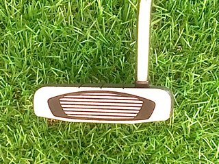 TAYLORMADE SPIDER GT Putter y funda palos golf
