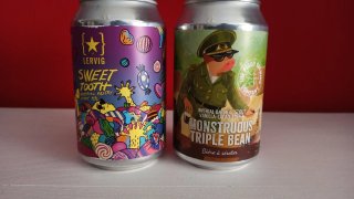 Confezione da 6 lattine vuote di birra artigianale