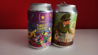 Confezione da 6 lattine vuote di birra artigianale