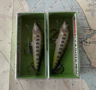 Lote 2 señuelos Rapala Countdown CD07 187
