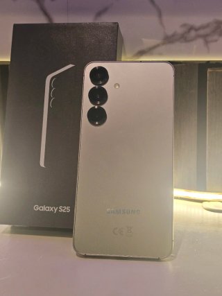 Samsung Galaxy S25 Plateado