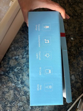 Micrófono Karaoke Infantil Bluetooth