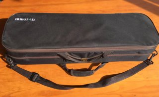 Violín de estudio 4/4 Thomann con maletín