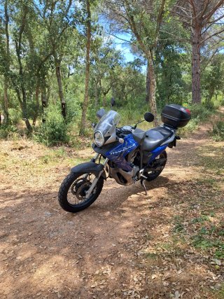 Honda Transalp 700cc Adventure