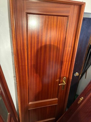 VENDO PUERTAS DE INTERIOR DE SAPELLY