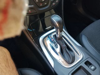 Opel Insignia 2017