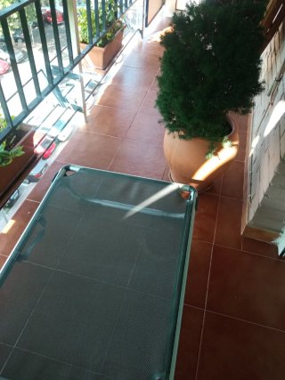 Tumbona plegable jardín