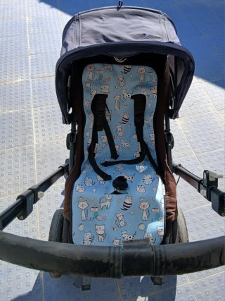 Carrito Bebé Bugaboo Camaleón 3