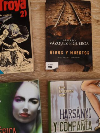 Lote 9 libros literatura novela ficción intriga