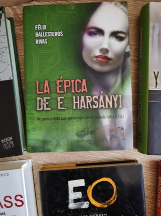 Lote 9 libros literatura novela ficción intriga