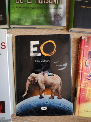 Lote 9 libros literatura novela ficción intriga