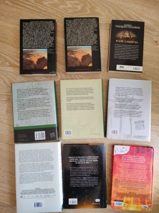 Lote 9 libros literatura novela ficción intriga