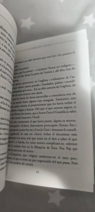 El guardián l' anell