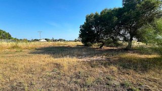 Casa rural en venta en Perleta - Maitino en Elche